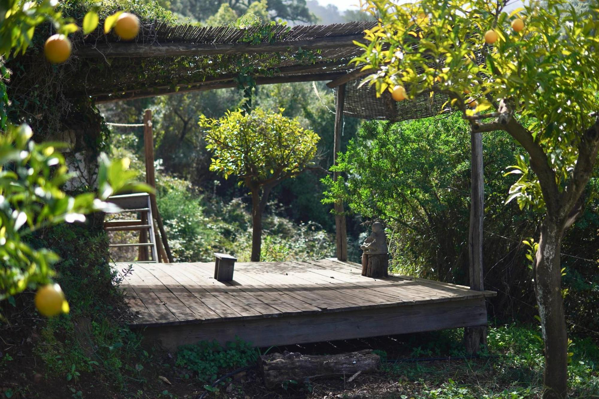 The4Elements Bed and Breakfast Monda Buitenkant foto